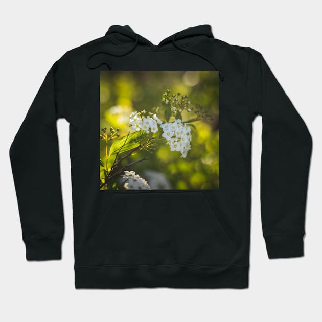 Springtime IV Hoodie by CarlaSophia